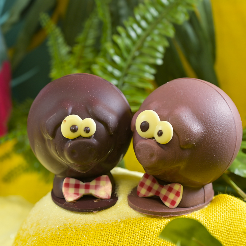 illustration pour le produit Pâques - Saxo le cochon