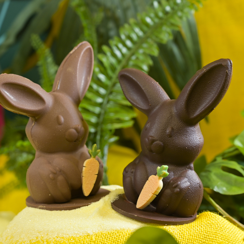 illustration pour le produit Pâques - FILOU LE LAPIN