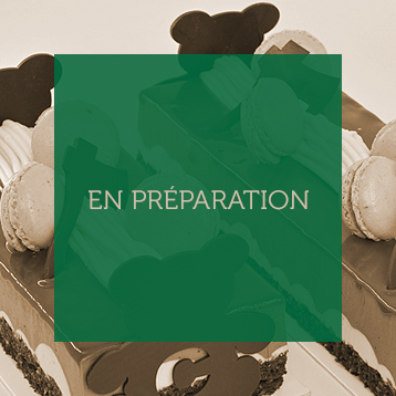 illustration pour le produit TEDDY ● BÛCHE GLACÉE