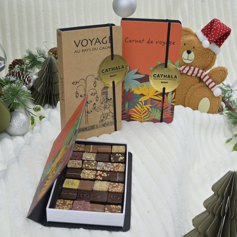 illustration pour le produit Livre chocolats