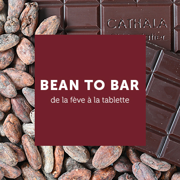 illustration bt-bean-to-bar