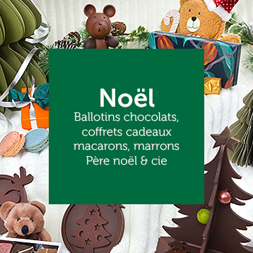 illustration bt-joyeuses-fetes-cathala-2025-vert2