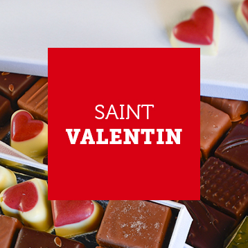 illustration bt-saint-valentin