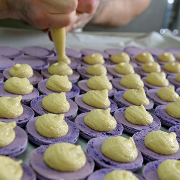 fond coloré avec inscription Cookies &amp; données personnelles