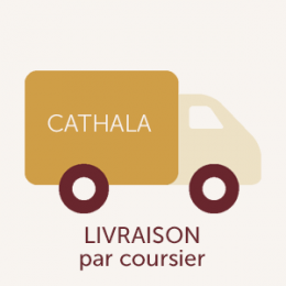 bt-expedition-livraison-coursier.png